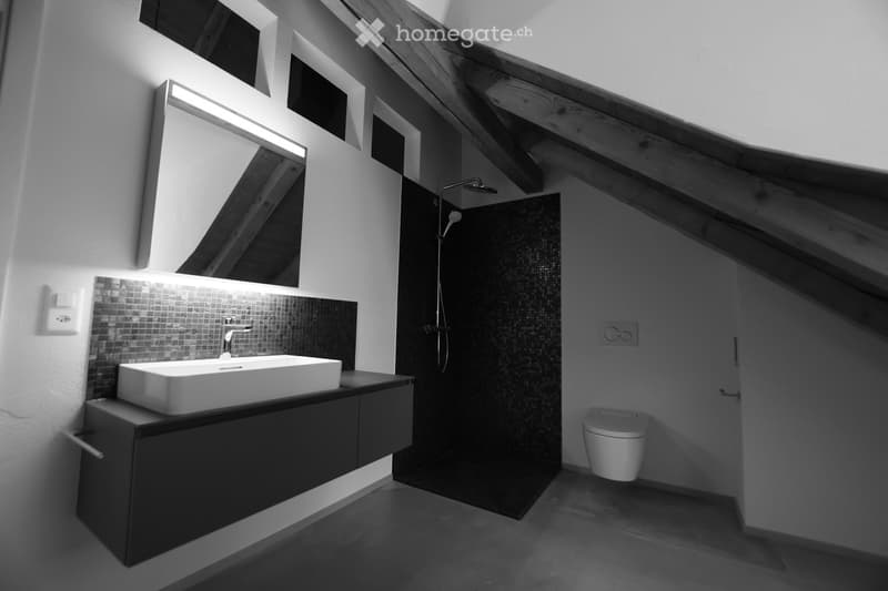 Modern bathroom with a white sink, dark vanity, large mirror, and a separate shower area with a modern faucet.