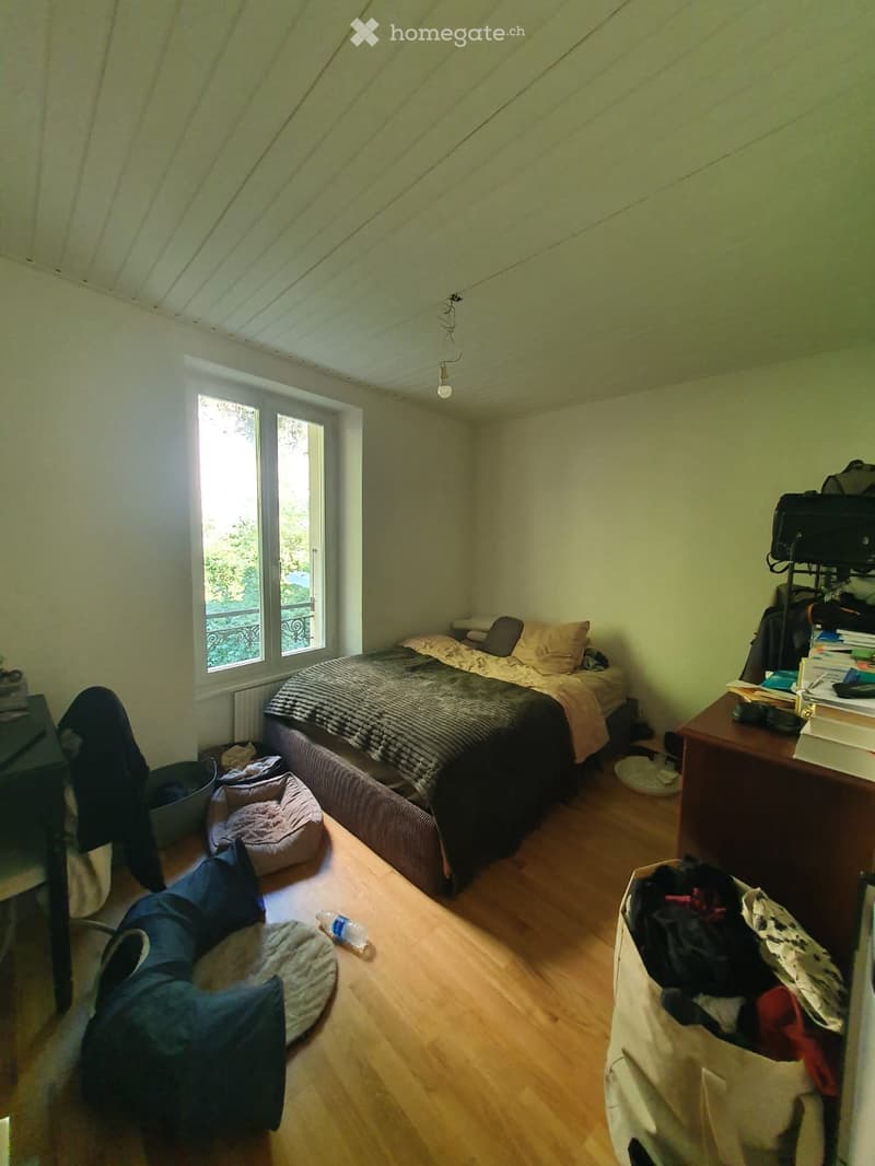 A small, cozy bedroom with wooden flooring, a single bed with pillows and blankets, a dog bed, a chair, a small table with a laptop and books, and a backpack on a shelf.