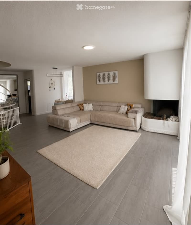 Modern living room with a grey sectional sofa, fireplace, large mirror, and potted plant on a wooden side table.
