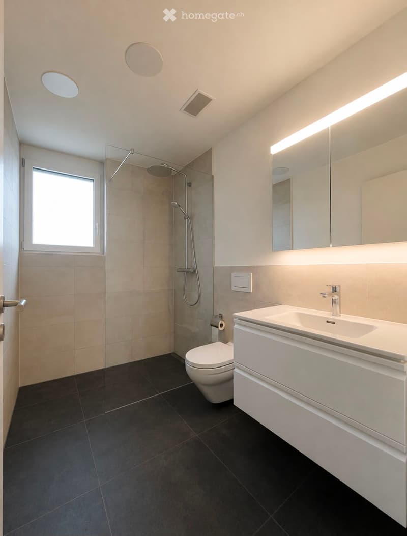 Modern bathroom with dark tiled floor, white sink, toilet, large mirror, and glass-enclosed shower area.