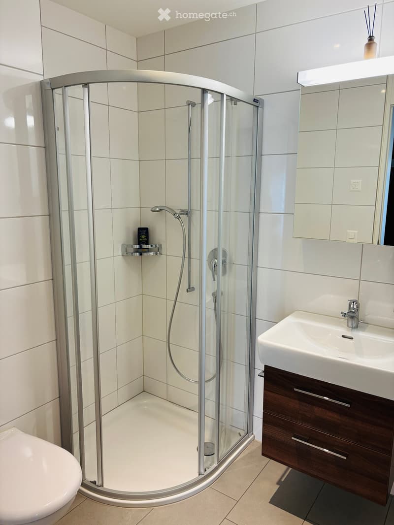 Modern bathroom with a walk-in shower, toilet, sink, and wooden vanity cabinet.