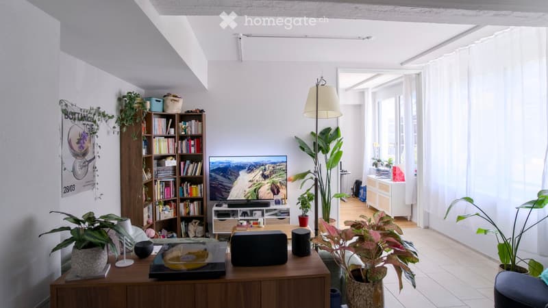 Modern living room with large windows, white walls, wooden floor, bookshelf, TV, record player, and several potted plants.