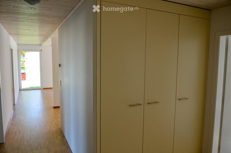 Empty hallway with light-colored walls, wooden flooring, and a large built-in closet with double doors.