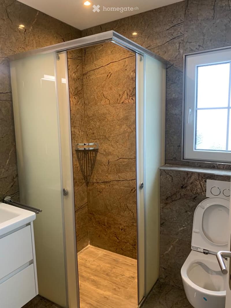 Modern bathroom with marble walls, a glass-enclosed shower stall, a toilet, and a sink.