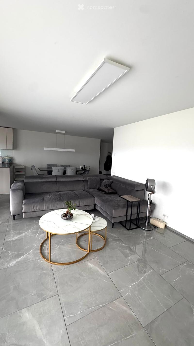 Modern living room with grey sectional sofa, white marble coffee table, side table, fan, and small plant. Open-plan layout includes a dining area with a table and chairs.