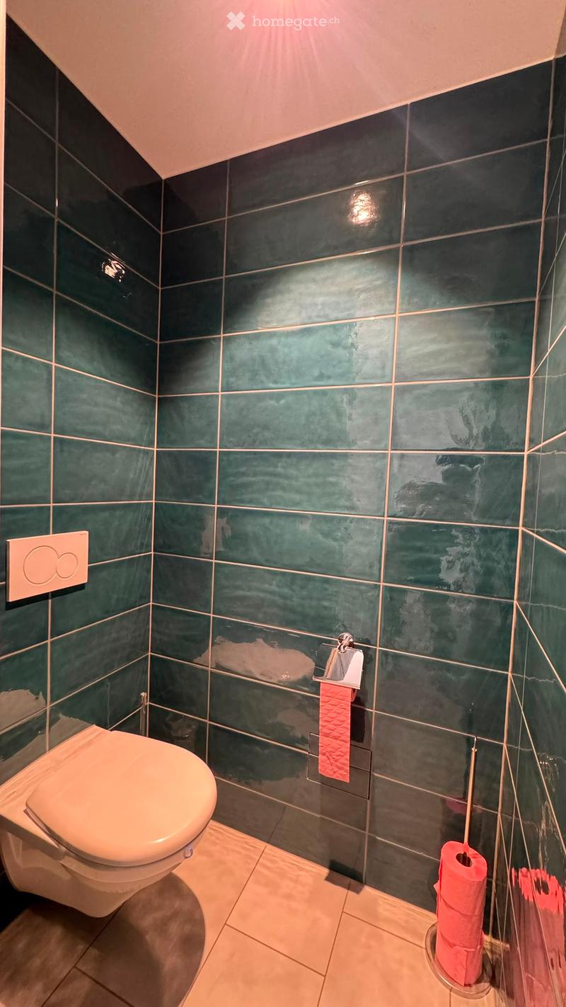 Modern bathroom with dark green tiles, a toilet, and a toilet paper holder with a roll of pink toilet paper.