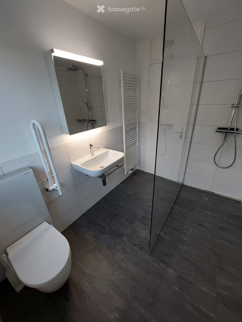 Modern bathroom with a toilet, sink, mirror, radiator, and a glass-enclosed shower area.