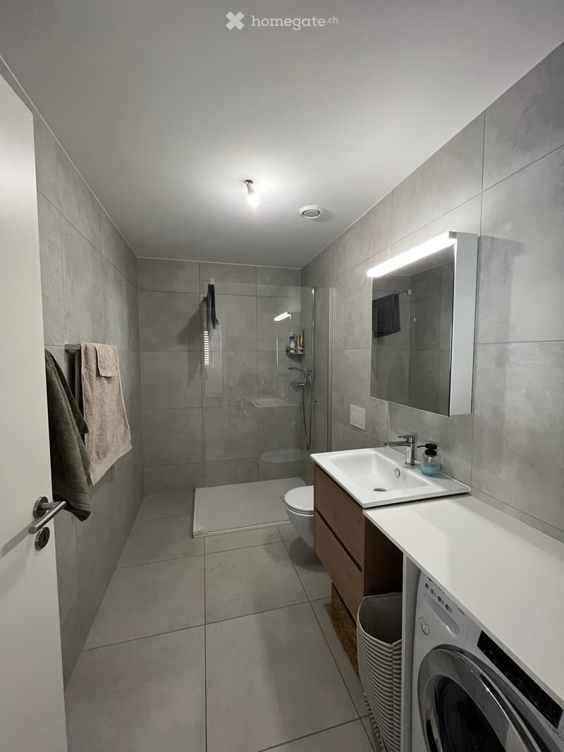 Modern bathroom with a white sink, mirror, toilet, and glass-enclosed shower. Includes a wooden vanity, towels, and a washing machine.