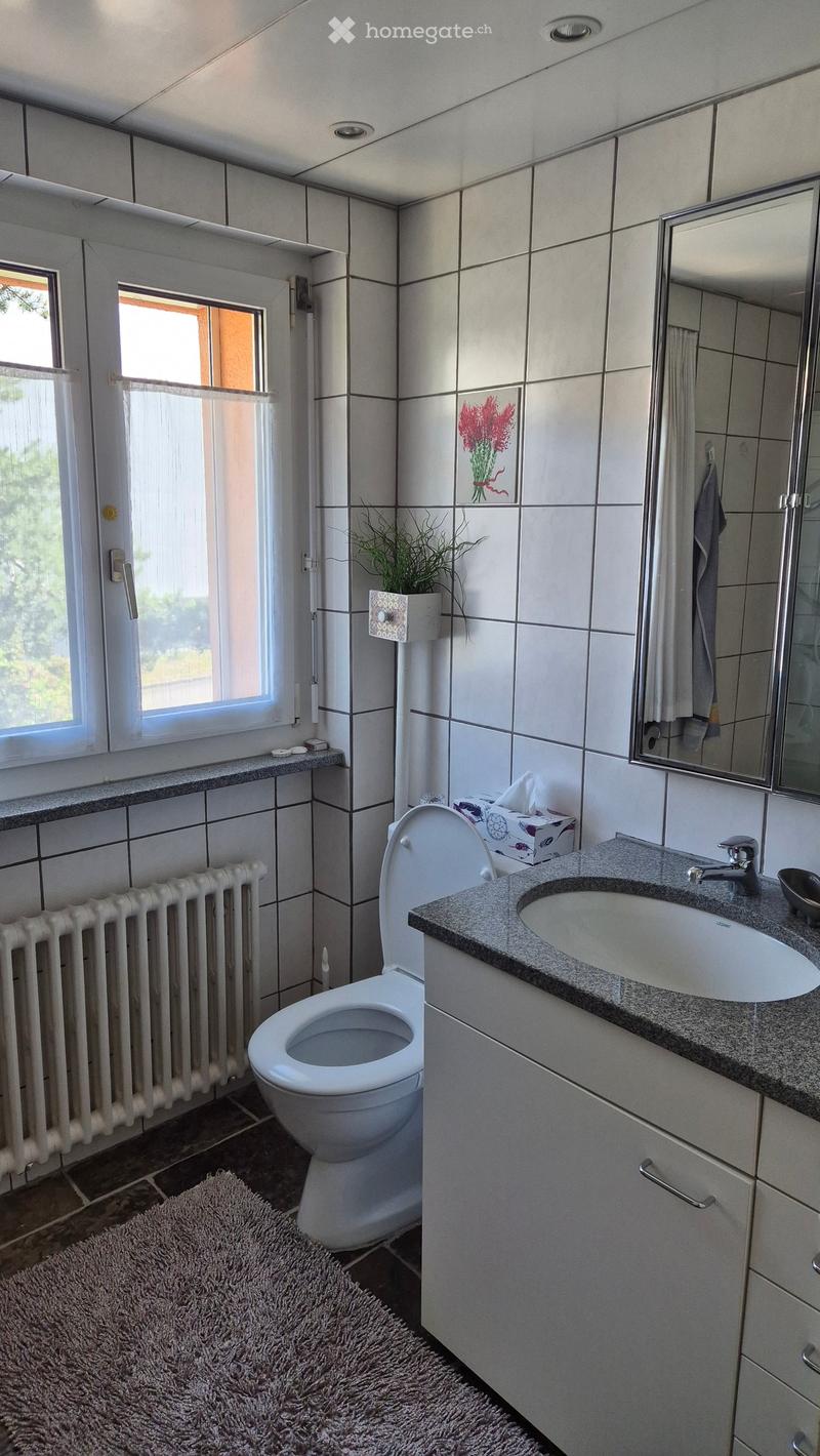 Modern bathroom with white tiles, a toilet, a sink with a granite countertop, a mirror, a radiator, a small plant, and a towel on the floor.
