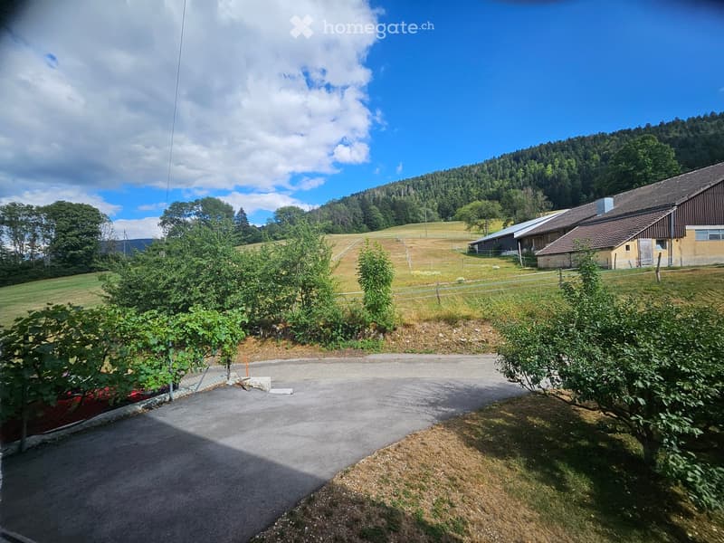 A rural outdoor scene with a paved driveway, grassy fields, trees, and a distant building with a sloped roof.