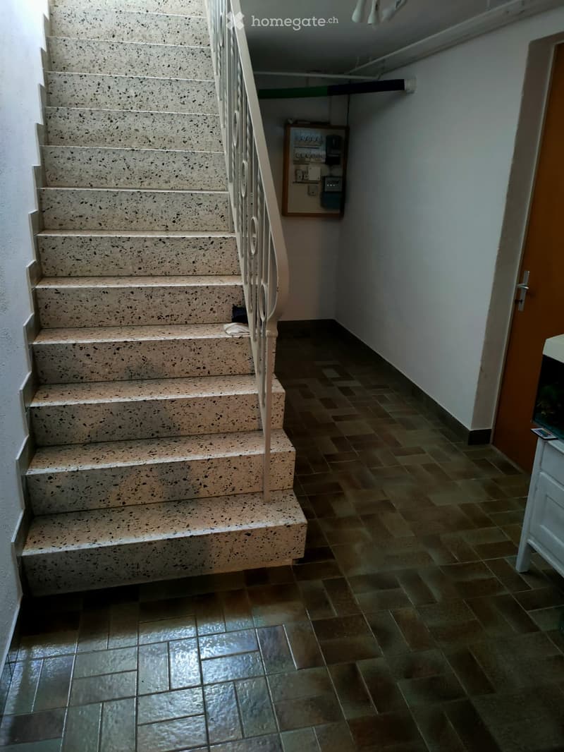 A staircase with beige speckled steps and a metal railing leads upwards. The hallway has tiled flooring and white walls, with a small framed display on the wall and a partially visible white cabinet on the right side.