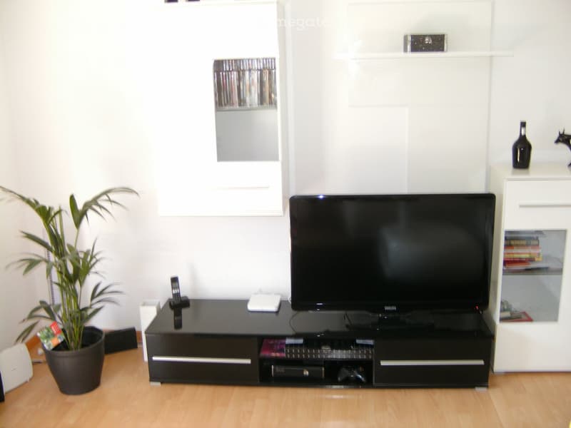 Modern living room with a large flat-screen TV on a black entertainment unit, a potted plant, and decorative items on shelves.