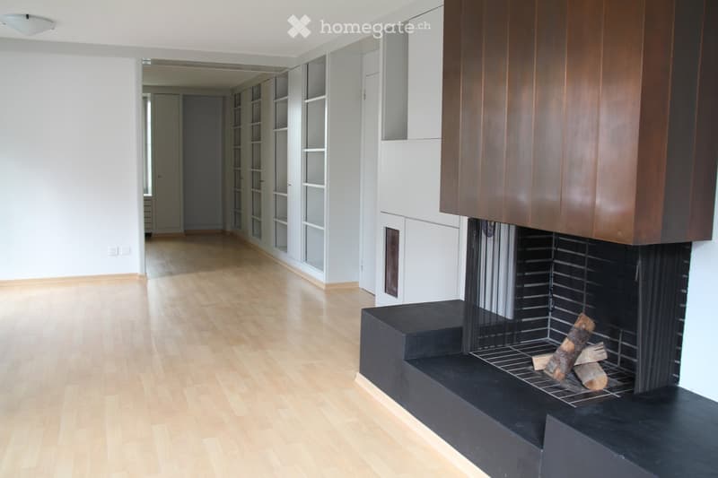 Modern hallway with light wooden flooring, white walls, built-in shelving units, and a contemporary black fireplace with wood logs.