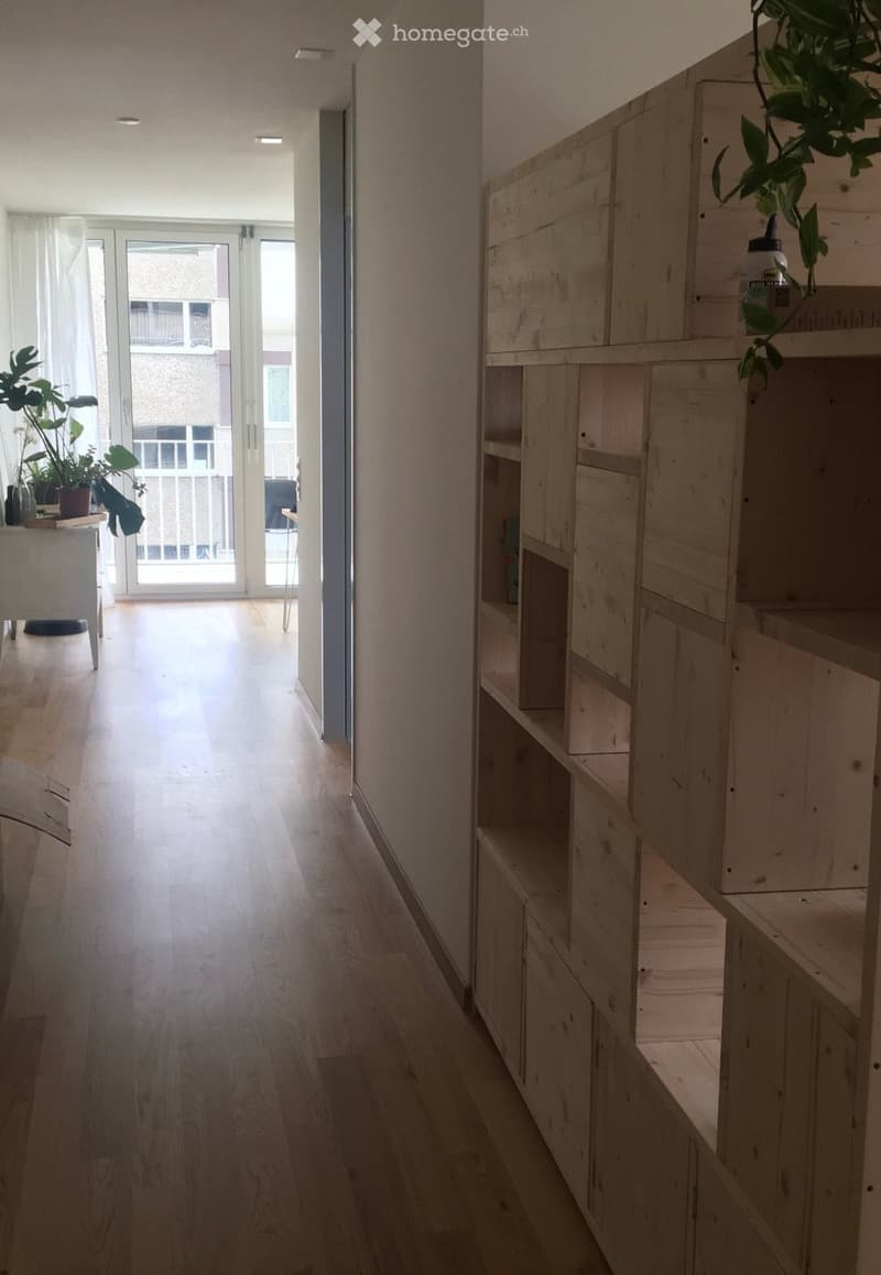 A long, narrow hallway with wooden flooring and white walls, featuring a built-in wooden shelving unit on one side and a small table with plants near a glass door leading to a balcony.