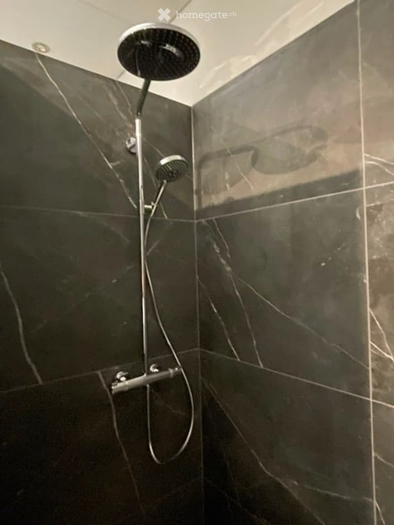 Modern shower area with dark marble tiles and a sleek, contemporary showerhead mounted on a chrome rail.