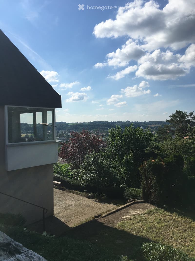 Wohnen in Münchenstein im Grünen mit Blick über Basel (2)