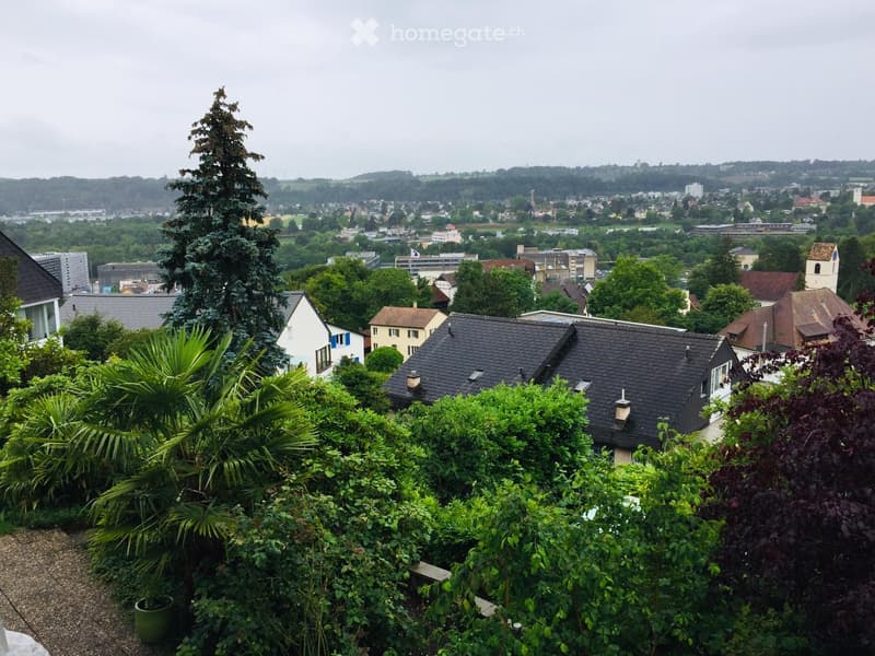 Wohnen in Münchenstein im Grünen mit Blick über Basel (1)