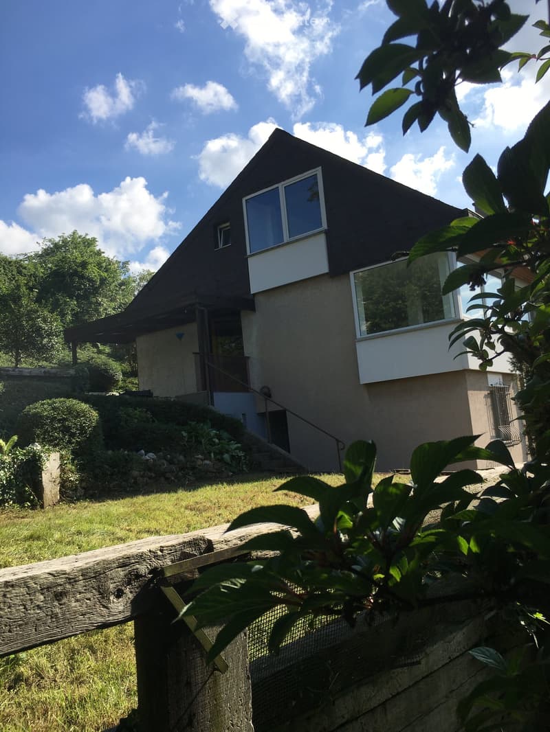 Wohnen in Münchenstein im Grünen mit Blick über Basel (5)