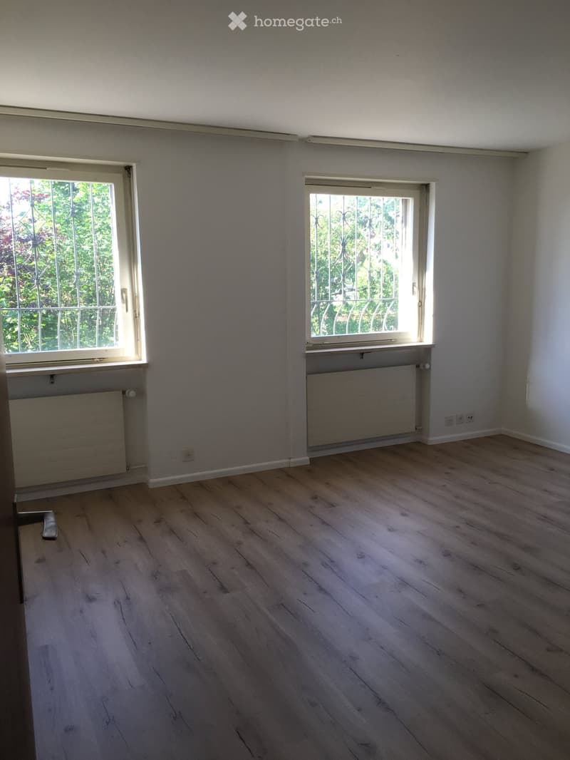 Wohnen in Münchenstein im Grünen mit Blick über Basel (22)