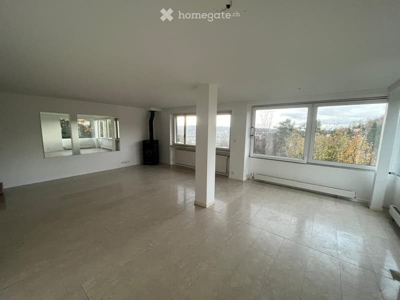 Wohnen in Münchenstein im Grünen mit Blick über Basel (15)