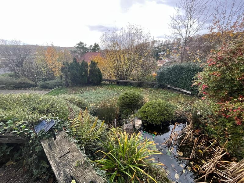 Wohnen in Münchenstein im Grünen mit Blick über Basel (8)