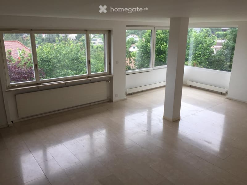 Wohnen in Münchenstein im Grünen mit Blick über Basel (21)