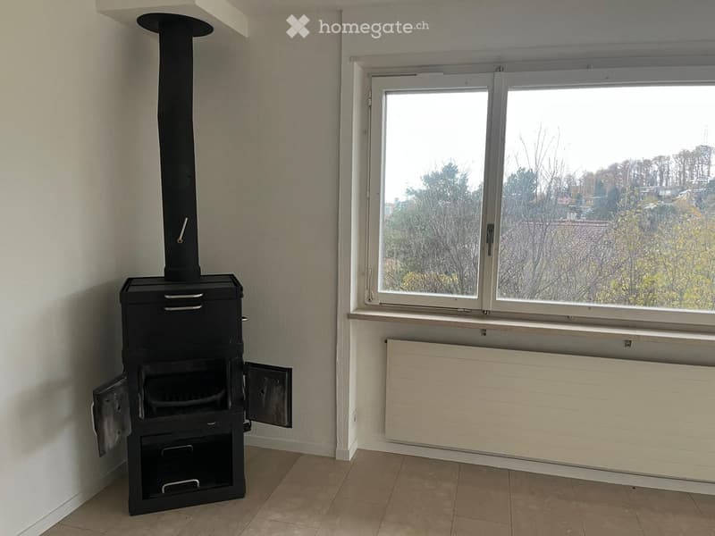 Wohnen in Münchenstein im Grünen mit Blick über Basel (18)