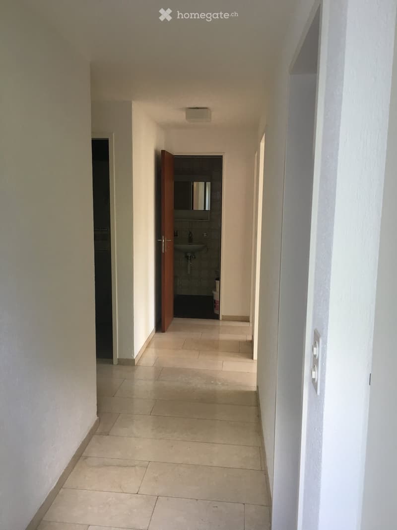 Wohnen in Münchenstein im Grünen mit Blick über Basel (23)