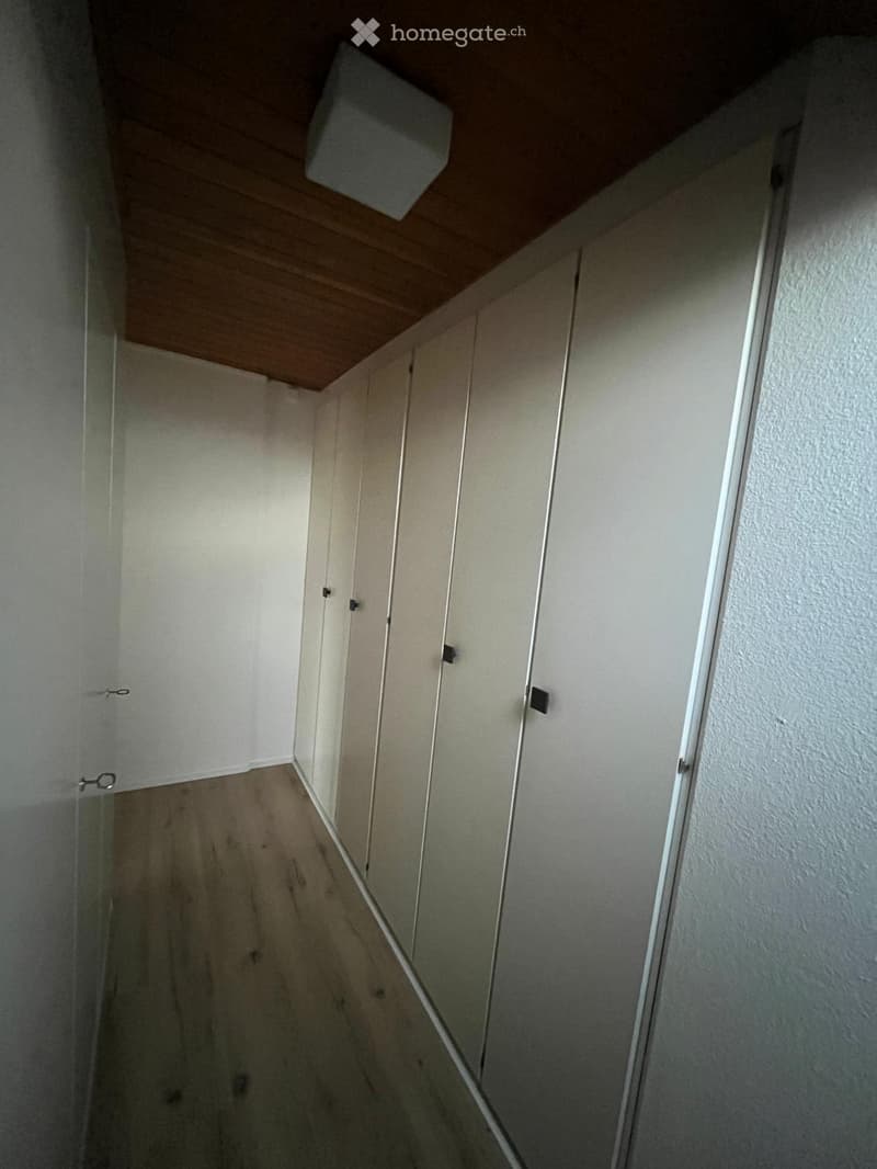 Wohnen in Münchenstein im Grünen mit Blick über Basel (12)
