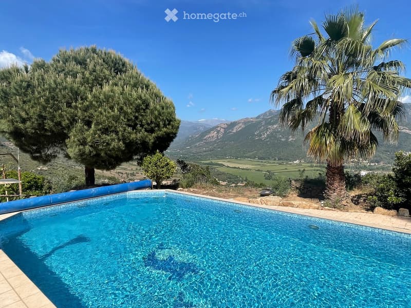 A private swimming pool surrounded by a stone patio, with a palm tree and olive tree nearby, overlooking a scenic valley and mountains.