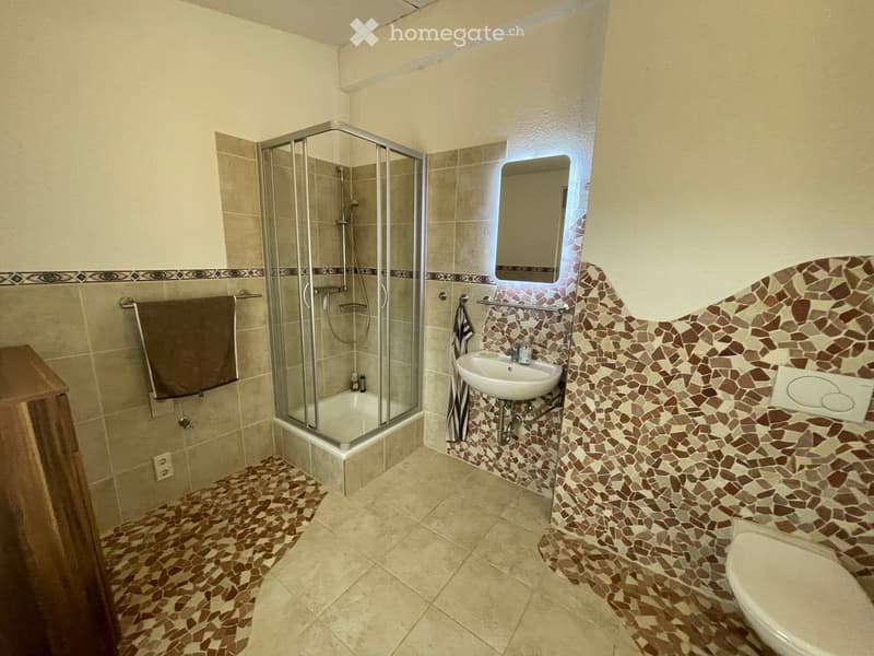 Modern bathroom with a glass-enclosed shower, a white sink, a toilet, and mosaic tile accents on the walls and floor.