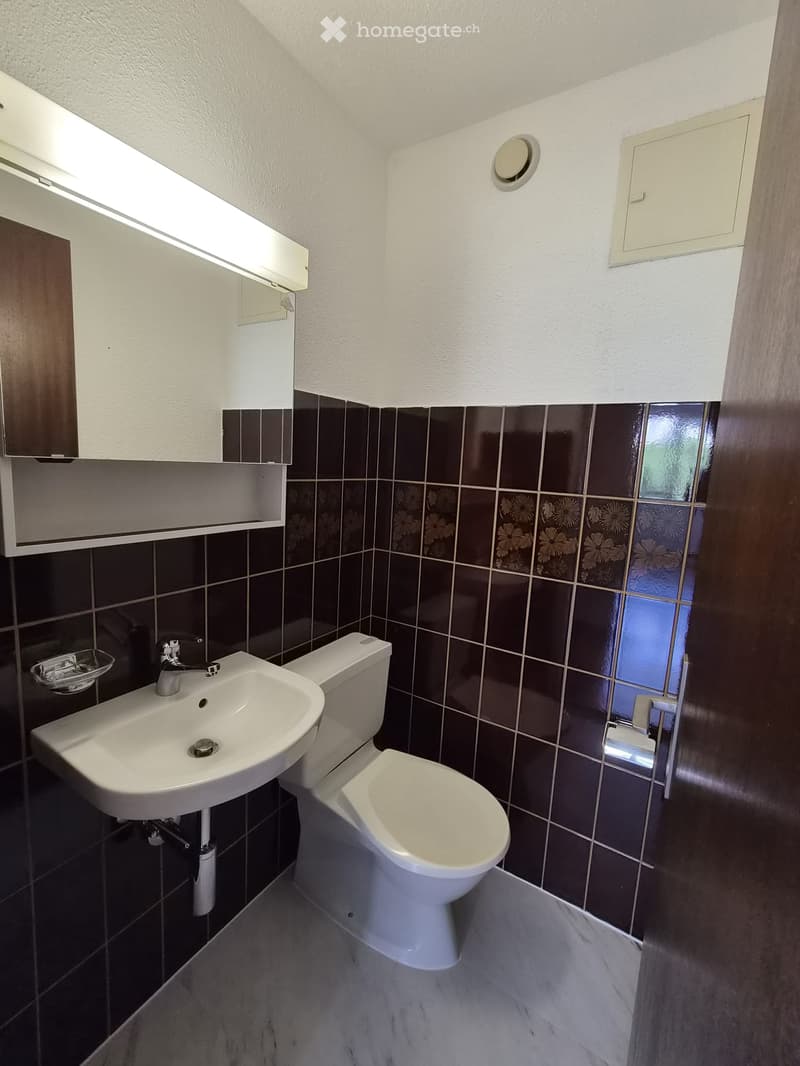 Modern bathroom with dark brown tiles, white sink, toilet, and built-in cabinet with mirror above it.