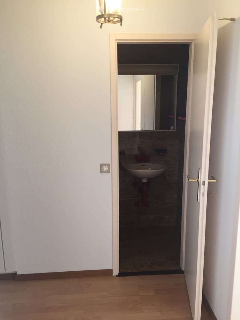 A narrow hallway with light wooden flooring and white walls, leading to a small bathroom with a sink and mirror.