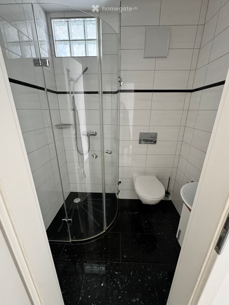 Modern bathroom with black tiled floor, white tiled walls, a glass-enclosed shower, a toilet, and a bathtub.