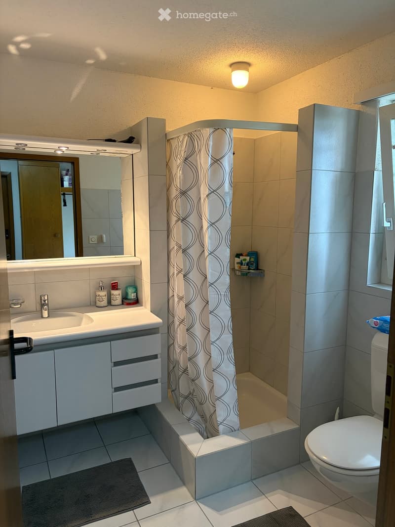 Modern bathroom with a white sink, mirror, cabinet, toilet, and a shower area with a curtain. Includes a small shelf with toiletries and a rug on the floor.