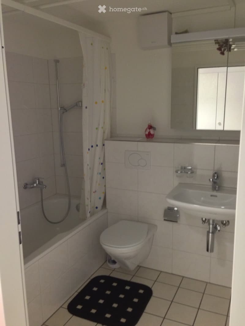 Einzelzimmer in 4.5 Zimmerwohnung (8)