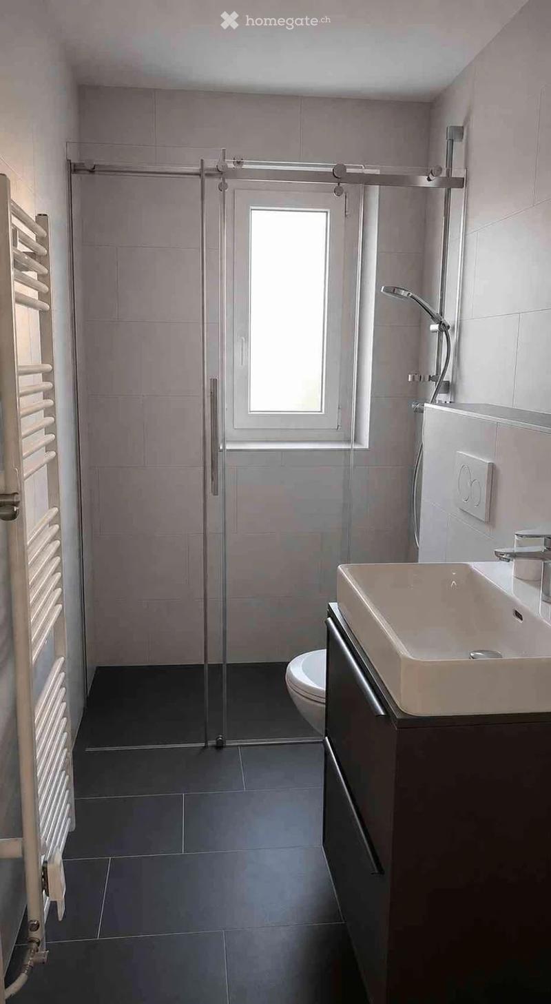 Modern bathroom with dark tiled floor, white sink, toilet, glass shower enclosure, and radiator.