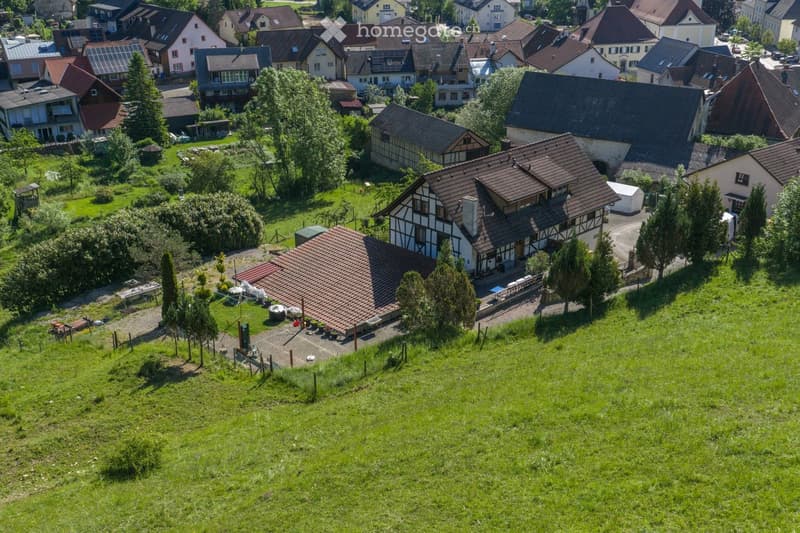 Aerial view of a residential area with multiple houses, green lawns, trees, and a central house with a distinctive half-timbered design and tiled roof.