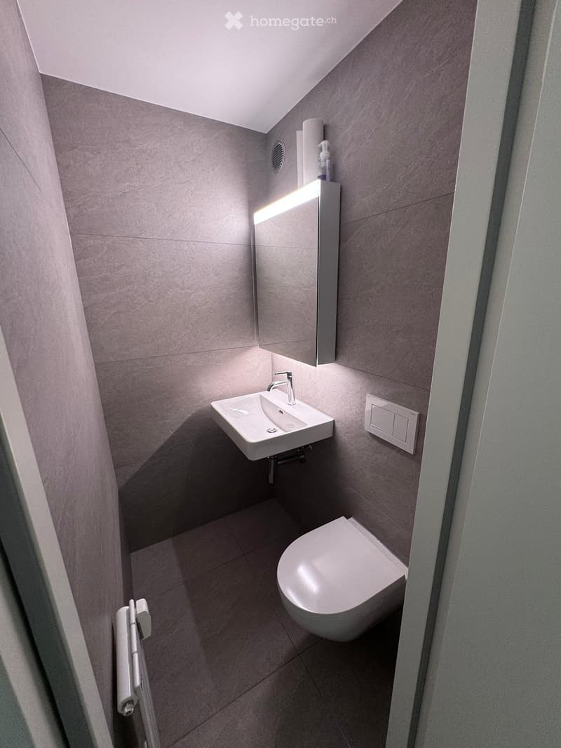Modern, compact bathroom with a white sink, chrome faucet, toilet, and built-in mirror with a light fixture above it. The walls and floor are covered in gray tiles.