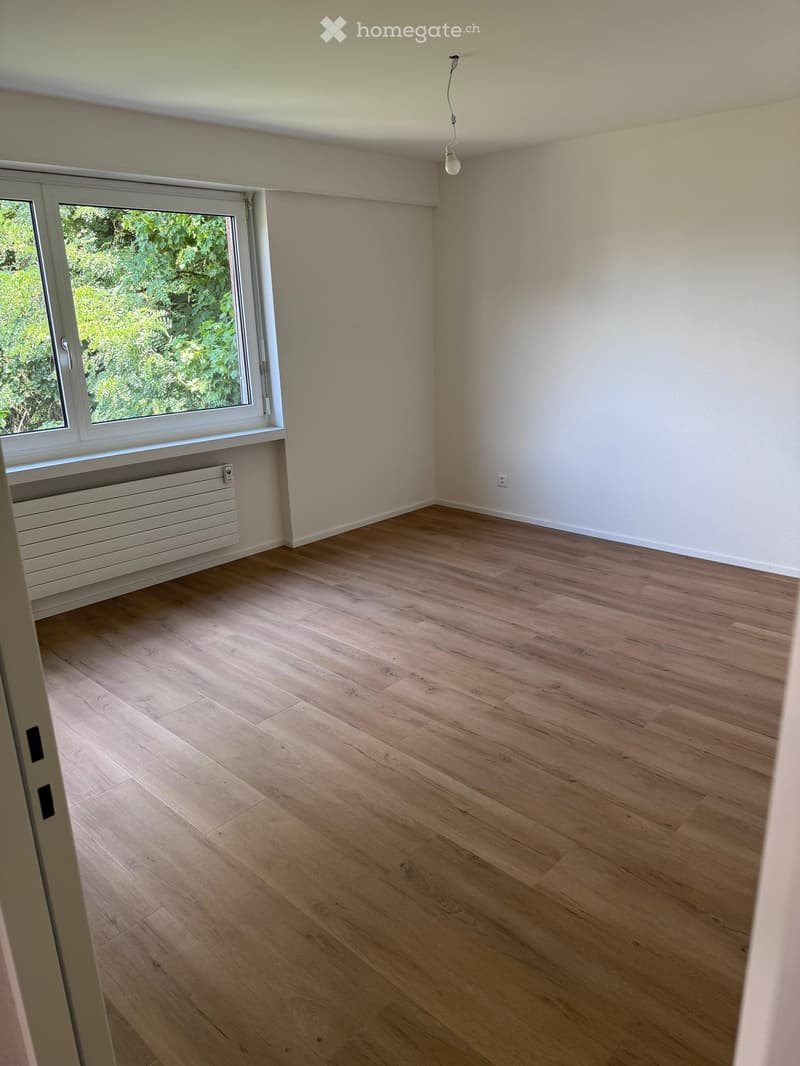 Empty room with light wooden flooring, white walls, a large window with a view of greenery, and a radiator below the window.