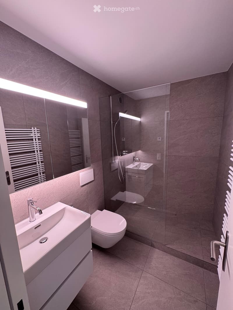 Modern bathroom with grey tiled walls, white fixtures, a large mirror, a glass-enclosed shower, and a radiator.