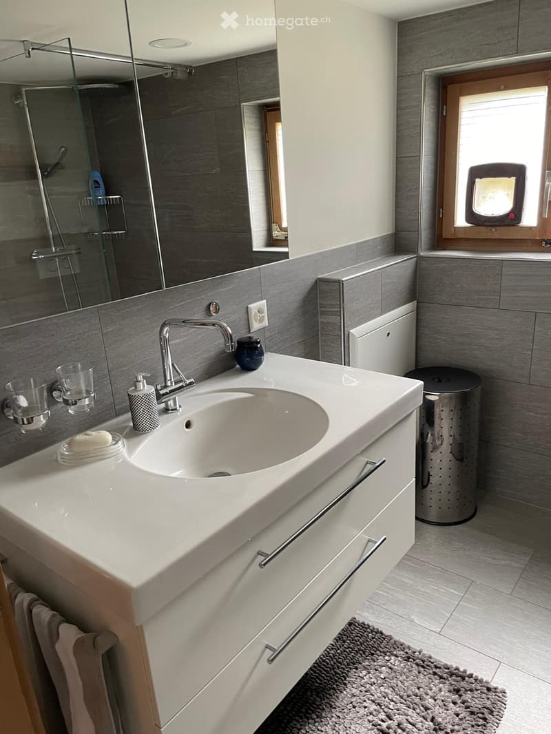 Modern bathroom with a white sink, chrome faucet, mirror, and a glass shower enclosure. Includes a soap dispenser, cups, and a towel on the counter.