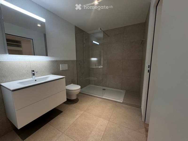 Modern bathroom with a white sink, toilet, glass-enclosed shower, and a large mirror above the sink.