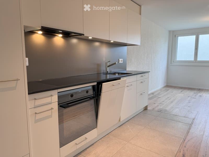 Modern kitchen with white cabinets, black countertop, stainless steel sink, and built-in oven. Features wooden flooring and large windows.