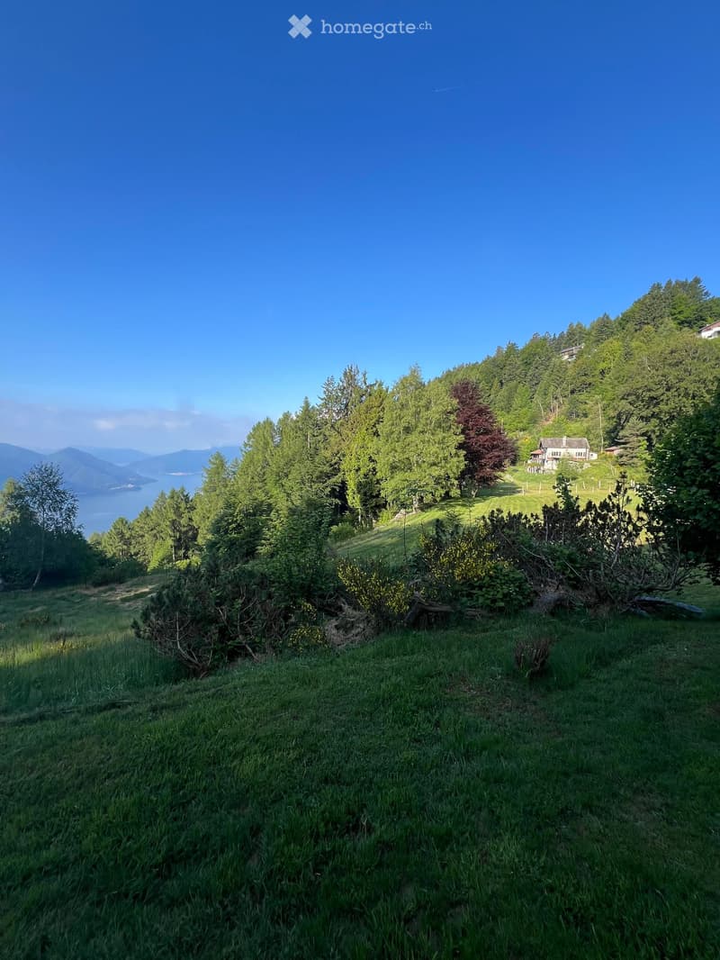 Exklusives Berg-Chalet mit Zweitwohnsitz auf der Cardada / Tessin (51)
