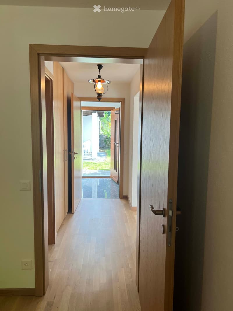 Spacious hallway with light wooden flooring, white walls, and a hanging light fixture. Open doors lead to other rooms and an outdoor area.