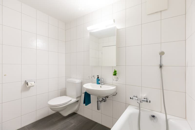 Modern bathroom with white tiled walls and dark wooden flooring, featuring a toilet, sink, bathtub, mirror, and a small plant on the wall.