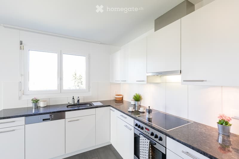 Modern kitchen with white cabinets, dark countertops, stainless steel appliances, and decorative potted plants.