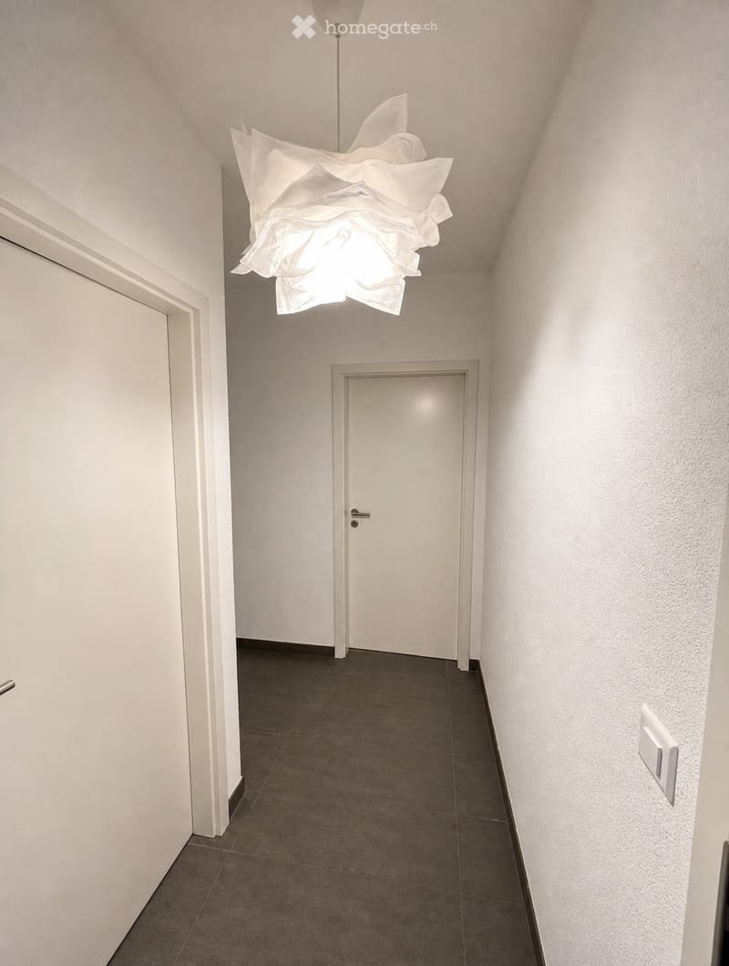 Modern hallway with white walls, grey tiled floor, and a decorative hanging light fixture. Features a closed door and a light switch on the wall.