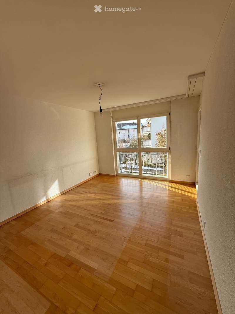 Large empty room, wooden floor, balcony, windows, doors